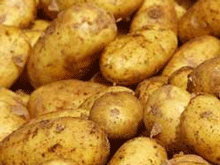 Potato